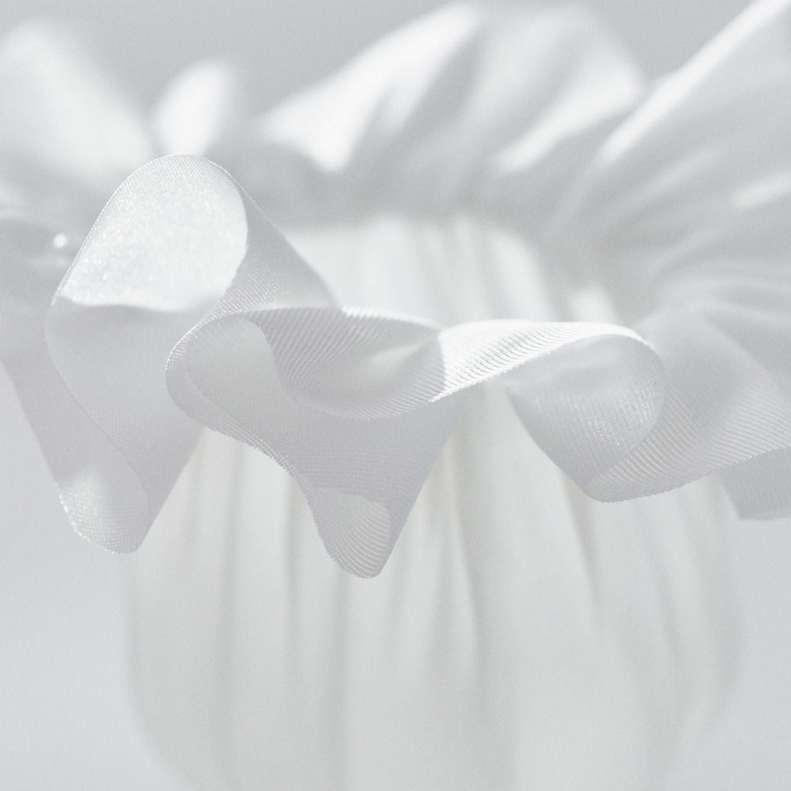 TAKT PROJECT/Equilibrium Flower<br> <br>Animation:Kenichi Hashimoto<br>
Photo：Masaki Ogawa